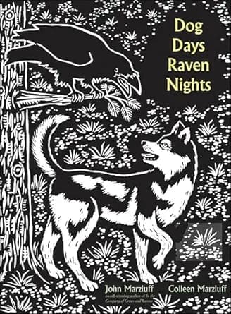 Dog Days, Raven Nights