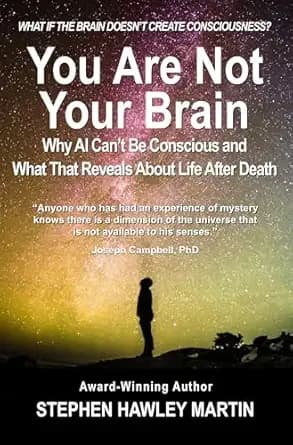 You Are Not Your Brain: Why AI Canât Be Conscious and What That Means for Life After Death